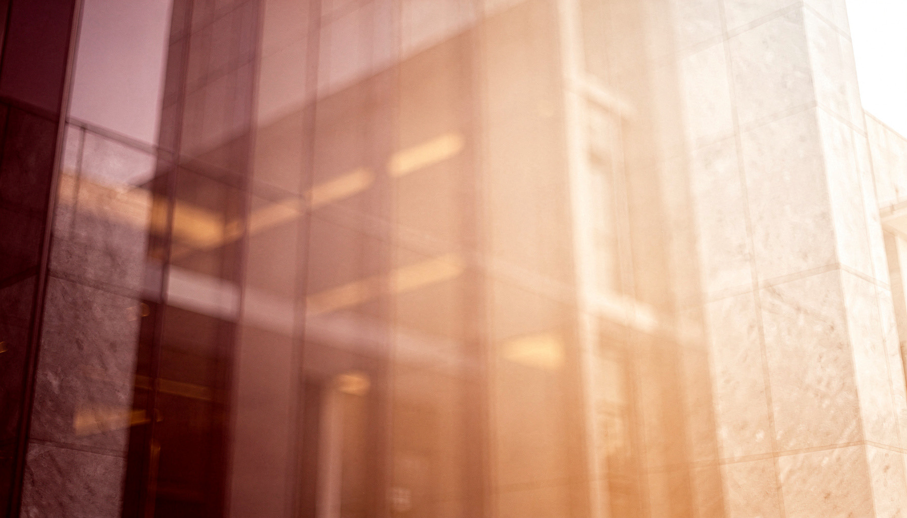 Alianza San Diego website preview